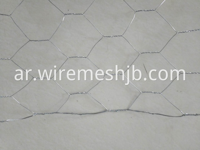 Galvanized Hexagonal Wire